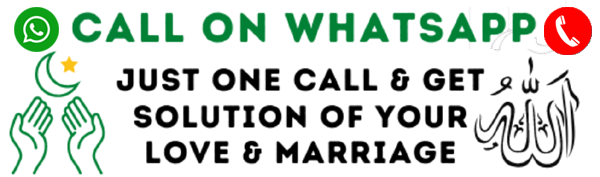 World Famous Astrologer Maulana Wahid Ali Khan Ji +91-7849836669